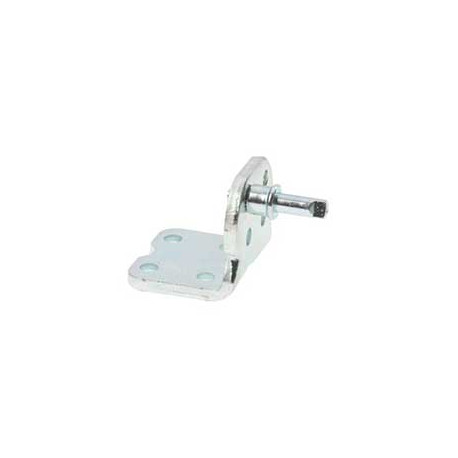 Gond pour refrigerateur Bosch 00184306