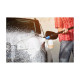 Detergent special auto 2.5l Nilfisk 125300390