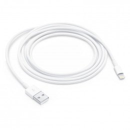 Cable de charge iphone 2m lightning Apple MD819ZM/A