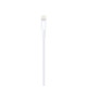 Cable de charge iphone 0.5m lightning Apple ME291ZM/A