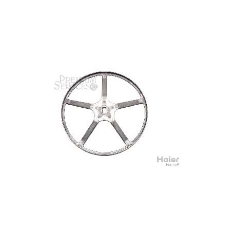 Poulie pour lave-linge 0020102869 Haier 49050762