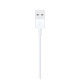 Cable de charge iphone 2m lightning Apple MD819ZM/A