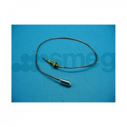 Thermocouple de barbecue longueur : 750 mm pour cuisiniere Multi-marques