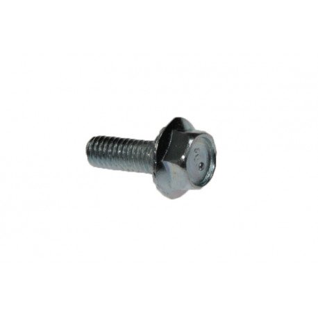 Vis (m6x16) pour centrale vapeur Delonghi 9811861646