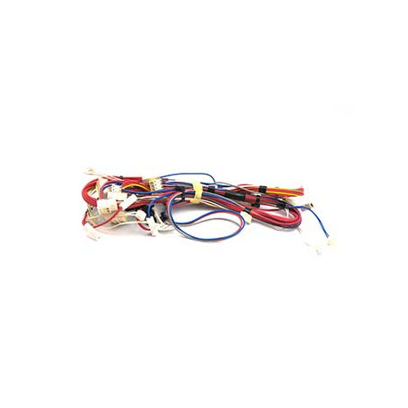 Cablage pour lave-linge Candy 41041622