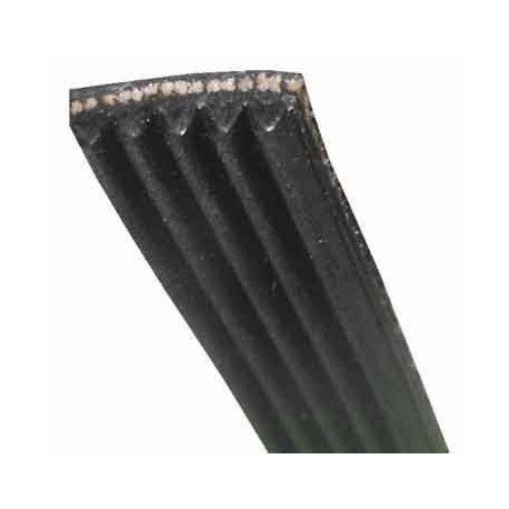 Courroie 1234j5 mael hutchinson pour lave-linge Whirlpool 1234 J 5 MA