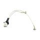 Cable adaptateur pour refrigerateur congelateur Hotpoint-ariston C00275571