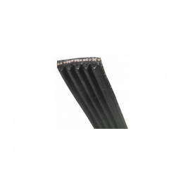 Courroie 1956h7 pour seche-linge Beko C00876490