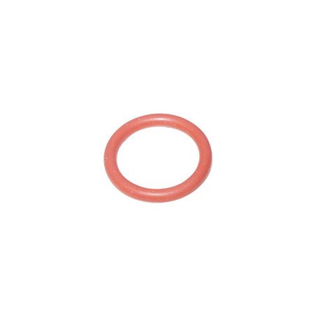 Joint bouchon pour centrale vapeur Astoria 500582531