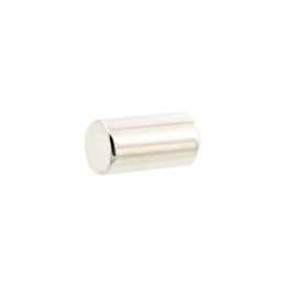 Aimant porte °8x15mm congelateur pour refrigerateur Electrolux 224007606