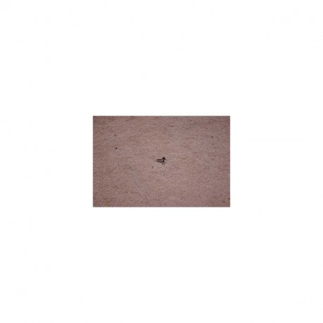 Vis autoraclante 3 5x8 pour lave-linge Indesit C00092348