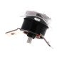Thermostat 170° rearmable lave-linge Horn 1053650