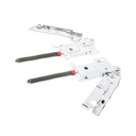 Charniere de porte kit gauche pour lave-vaisselle Aeg 405547494