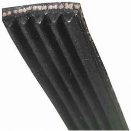 Courroie 1225j5 mael pour lave-linge Multi-marques