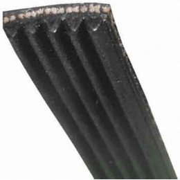 Courroie 1225j5 mael pour lave-linge Multi-marques